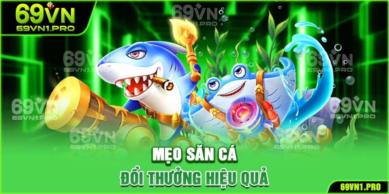 Top 3 mẹo hay giúp bạn sớm thành thợ săn tài ba